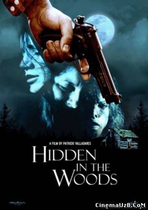 смотреть Спрятавшиеся в лесу / Hidden in the woods (2011)