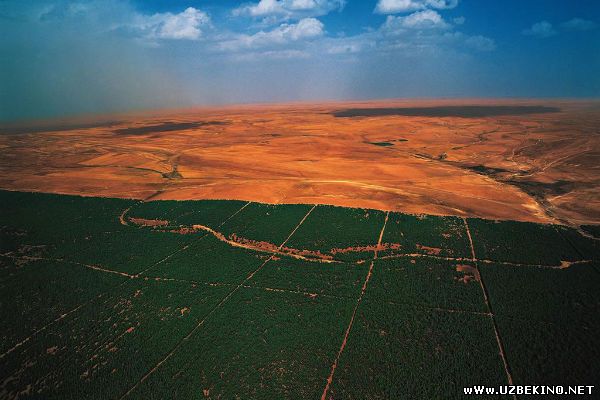 Скрипн Afrikada fermerlik yerlarini yaxshilash uchun “Buyuk yashil devor” quriladi(UZBEKINO.NET)
