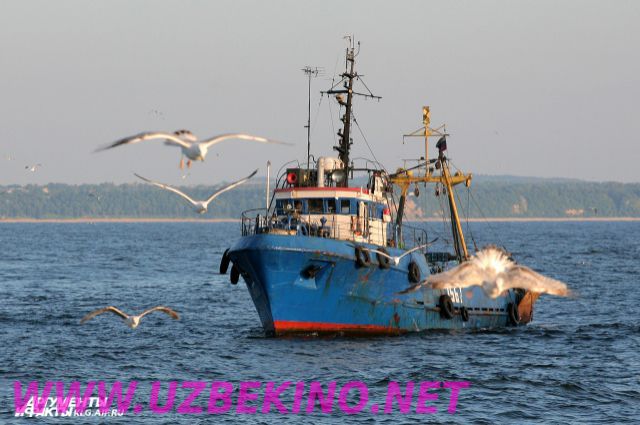 Скрипн Xitoy baliqchilik kemasi halokatga uchrashi oqibatida 17 kishi bedarak yo‘qoldi