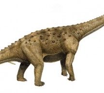Скрипн Yaponiyada dinozavrning 100 million yil avval yashagan yangi turi kashf qilindi(UZBEKINO.NET)