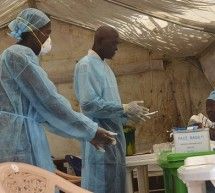Скрипн Ebola bezgagi epidemiyasiga qarshi kurash uchun yarim yil vaqt ketishi xabar berildi(UZBEKINO.NET)