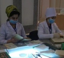 Скрипн Turkmanistonda it va mushuklar qirib tashlangani tufayli kemiruvchilar ko‘payib ketdi(UZBEKINO.NET)