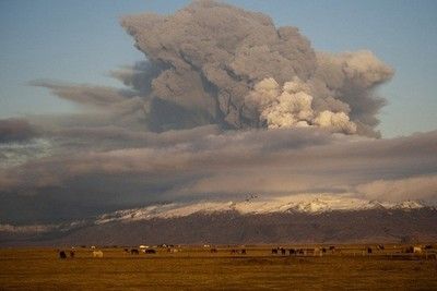 Скрипн Islandiyadagi Bardarbunga vulqoni otila boshladi