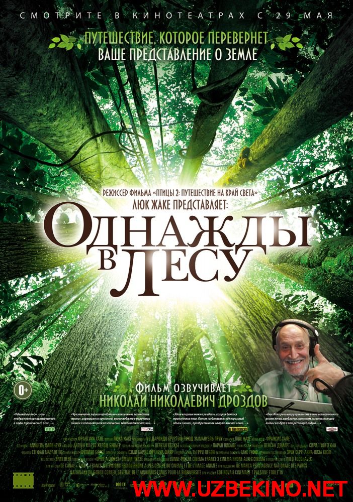 Скрипн Однажды в лесу / Once in the Forest (2014)